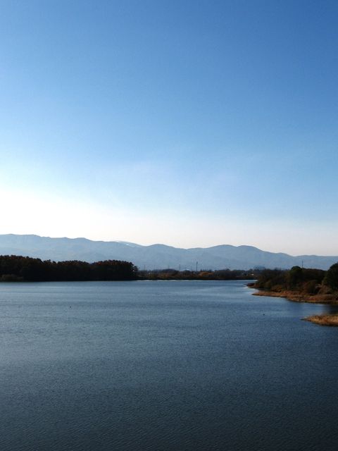 157463_1823164183_97large.jpg