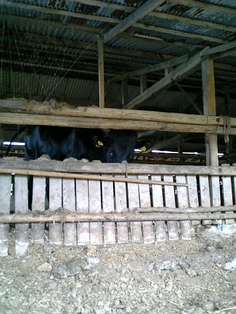 DVC00010.JPG