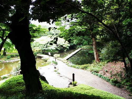 koishikawa2.jpg