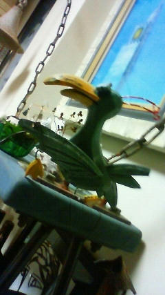 crazybird.JPG