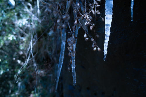 blue4.JPG