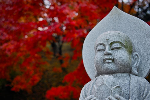 momiji2.JPG