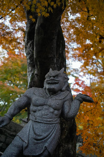 momiji5.JPG