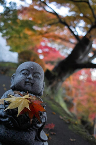 momiji8.JPG