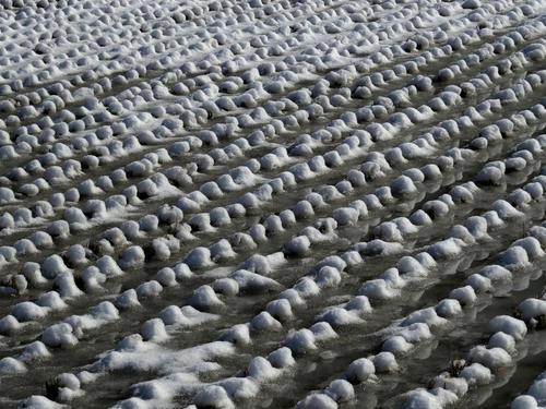 Snow2.jpg
