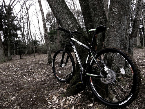 bike1.jpg