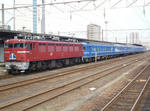 58051041.jpg