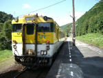 ca529c6d.jpg