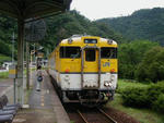 229606db.jpg