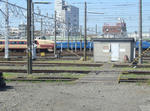 01cd9513.jpg