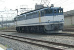 e788fa91.jpg