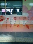 P1000047.JPG