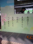 P1000048.JPG