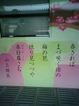 P1000049.JPG