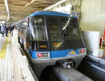cc63ed81.JPG