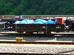 d6c24186.jpg