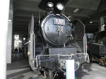 339f6496.jpg