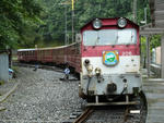 2cbcd100.jpg