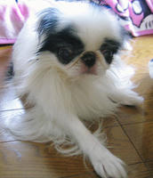 resize0217.jpg