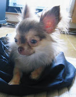 resize0218.jpg