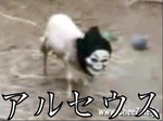 あるせうす