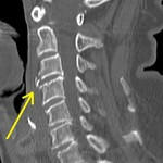 2010-10-08.jpg
