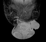 2010-12-01.jpg