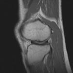 2011-02-04.jpg