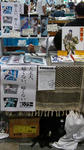 DSC00109-2.jpg
