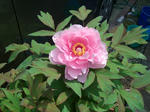 938f442f.JPG