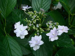 9034177e.JPG