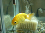 57cb0530.JPG