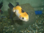 a3c879e7.JPG