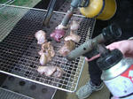 ffa92306.JPG