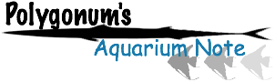 polygonum's aquarium note