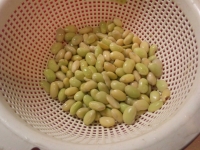 枝豆