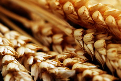 Honoho(ホノホ)は、たっぷりの天然素材を配合