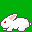 rabbit2