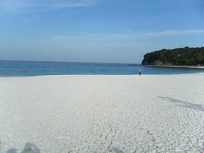 DSCF0242.jpg