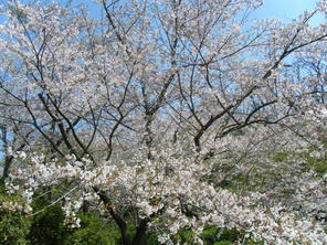 DSCF0272.jpg