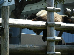 DSCF0292.jpg