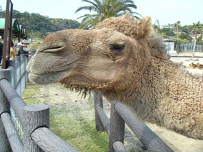 DSCF0318.jpg