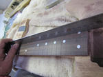 fingerboard_41.jpg