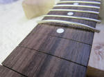 fingerboard_55.jpg