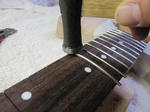 fingerboard_56.jpg