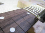 fingerboard_57.jpg