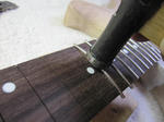 fingerboard_59.jpg
