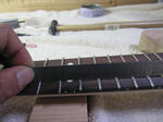 fingerboard_66.jpg