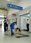 女性が負傷した現場付近を捜索する警察犬＝JR三ノ宮駅