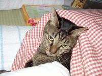 monnzou001.jpg